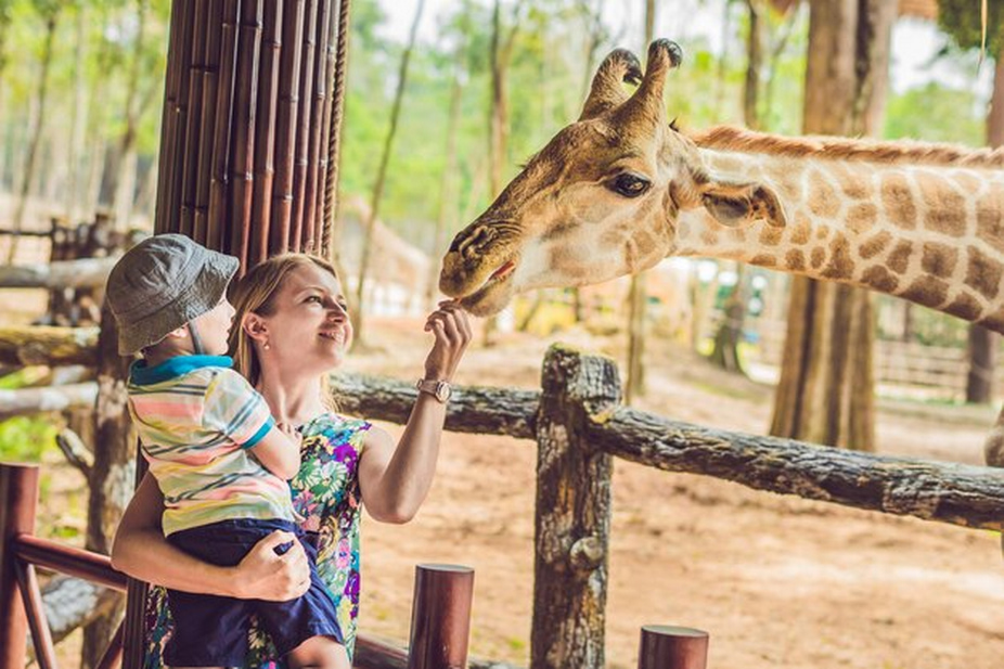 Female and child feeding a giraffe